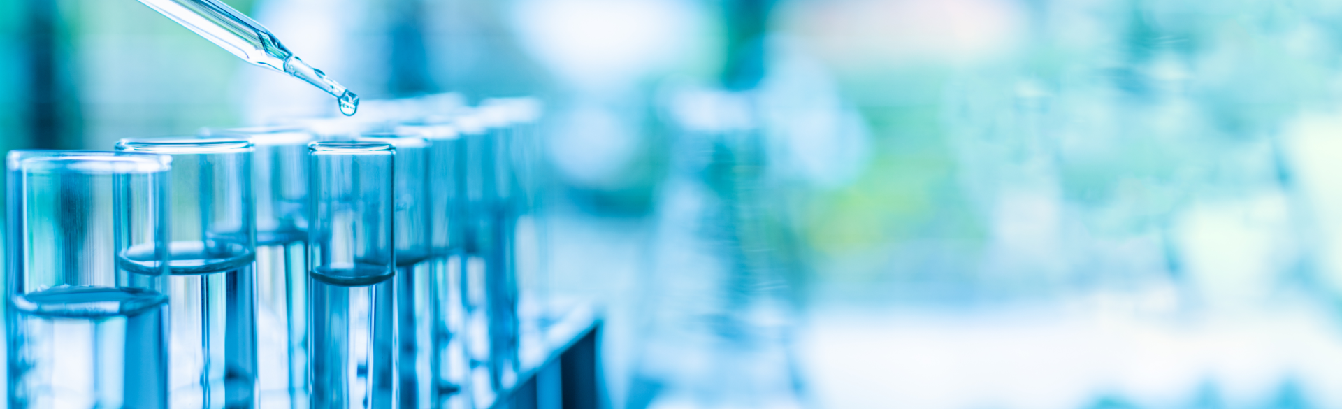 Page Banner