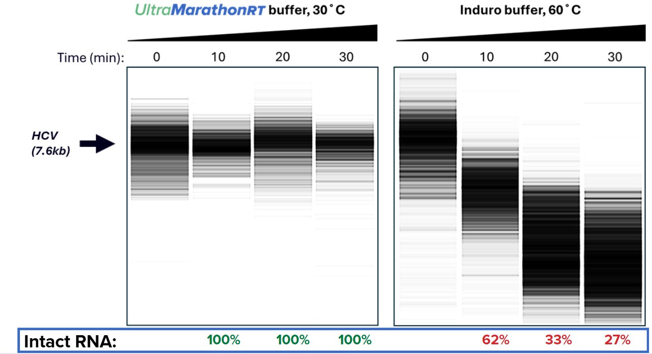 <p><strong>How uMRT Works</strong>  - An Enzyme Engineered for Superior Processivity at Room Temperature</p>