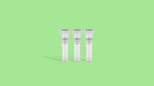 2X qPCR Green Master Mix