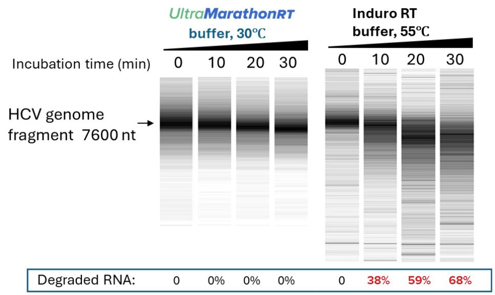 <p><strong>How uMRT Works</strong>  - An Enzyme Engineered for Superior Processivity at Room Temperature</p>